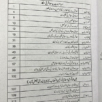 Islam Aur Jadded Siyasi Afkar - Image 3